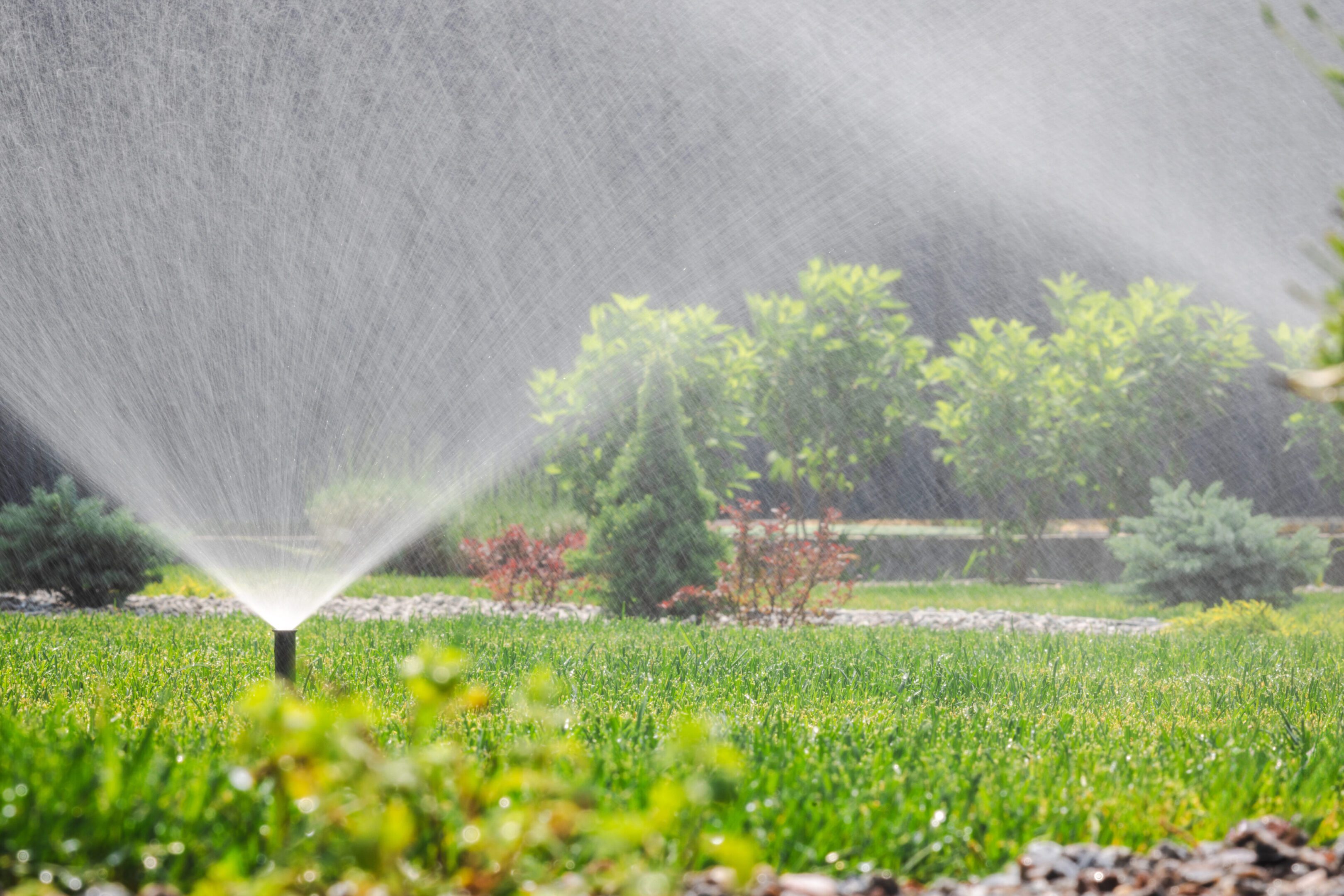 Automatic sprinkler watering a green lawn in a landscaped garden, with visible water spray in sunlight and trees in the background. High quality photo